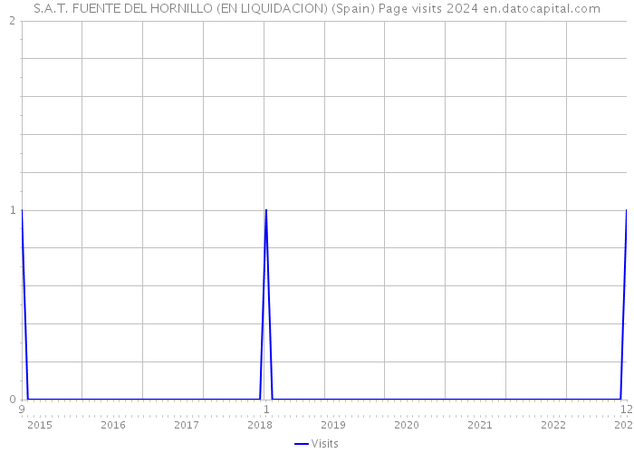 S.A.T. FUENTE DEL HORNILLO (EN LIQUIDACION) (Spain) Page visits 2024 