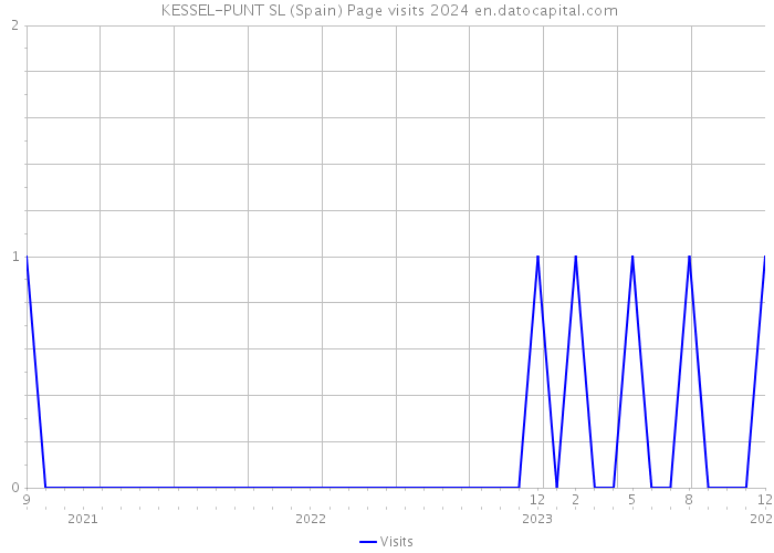  KESSEL-PUNT SL (Spain) Page visits 2024 