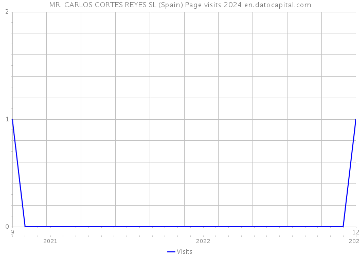 MR. CARLOS CORTES REYES SL (Spain) Page visits 2024 