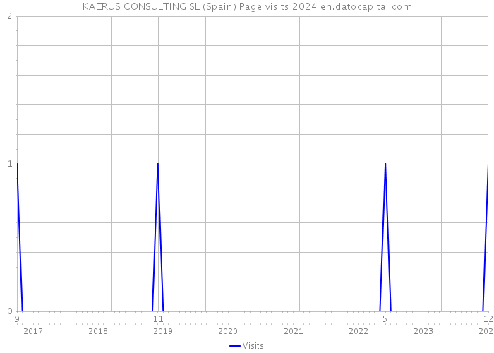 KAERUS CONSULTING SL (Spain) Page visits 2024 