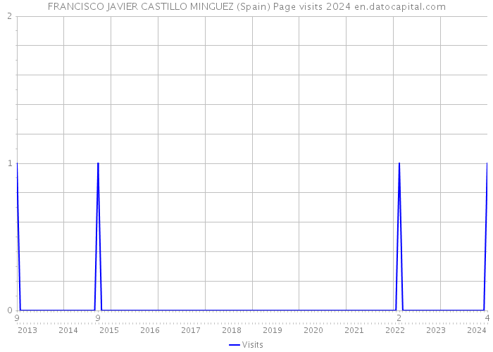 FRANCISCO JAVIER CASTILLO MINGUEZ (Spain) Page visits 2024 