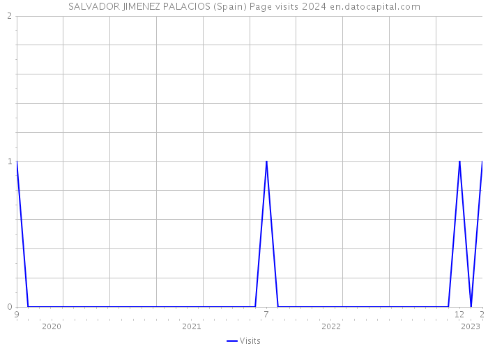 SALVADOR JIMENEZ PALACIOS (Spain) Page visits 2024 