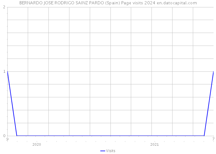 BERNARDO JOSE RODRIGO SAINZ PARDO (Spain) Page visits 2024 