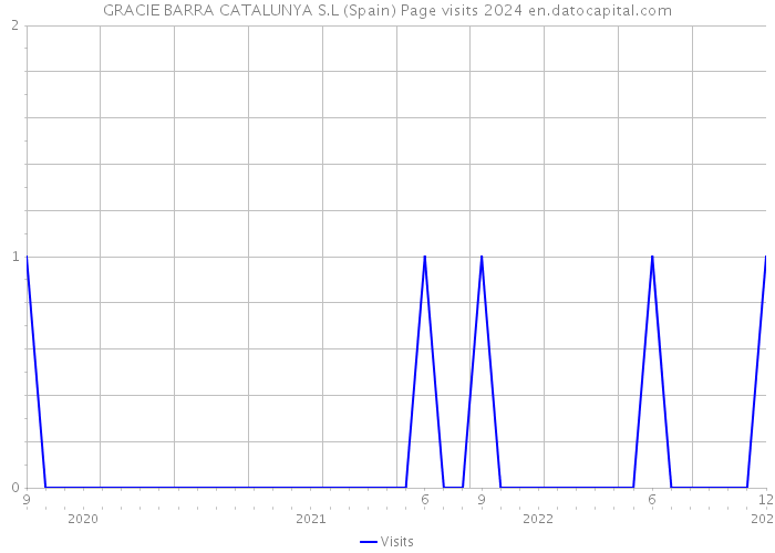 GRACIE BARRA CATALUNYA S.L (Spain) Page visits 2024 