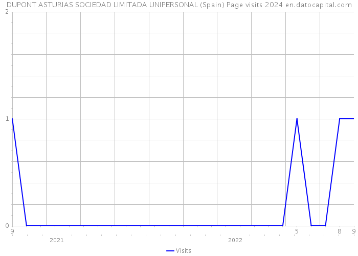 DUPONT ASTURIAS SOCIEDAD LIMITADA UNIPERSONAL (Spain) Page visits 2024 