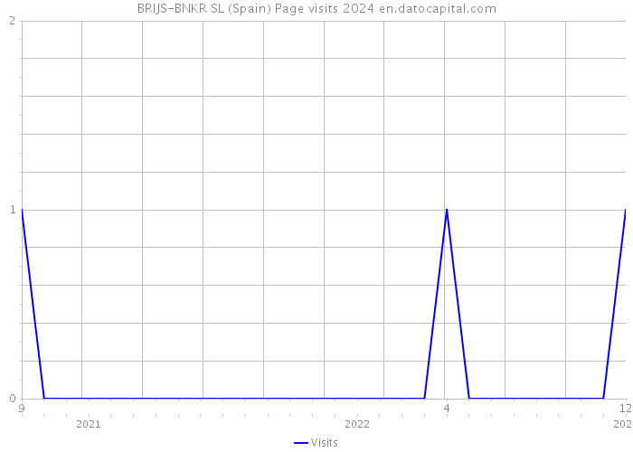 BRIJS-BNKR SL (Spain) Page visits 2024 