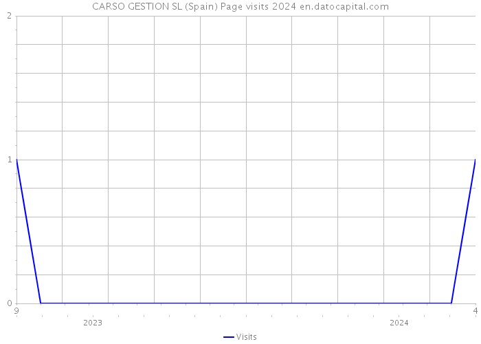CARSO GESTION SL (Spain) Page visits 2024 