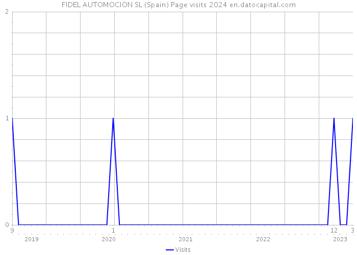 FIDEL AUTOMOCION SL (Spain) Page visits 2024 