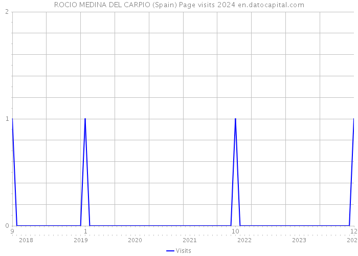 ROCIO MEDINA DEL CARPIO (Spain) Page visits 2024 