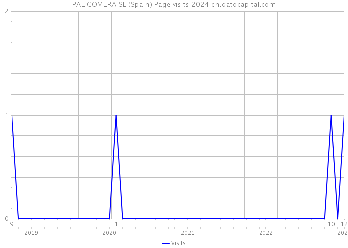 PAE GOMERA SL (Spain) Page visits 2024 