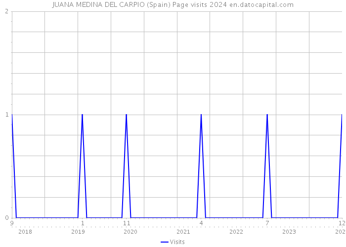 JUANA MEDINA DEL CARPIO (Spain) Page visits 2024 