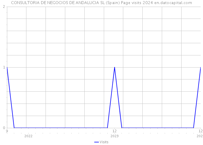CONSULTORIA DE NEGOCIOS DE ANDALUCIA SL (Spain) Page visits 2024 