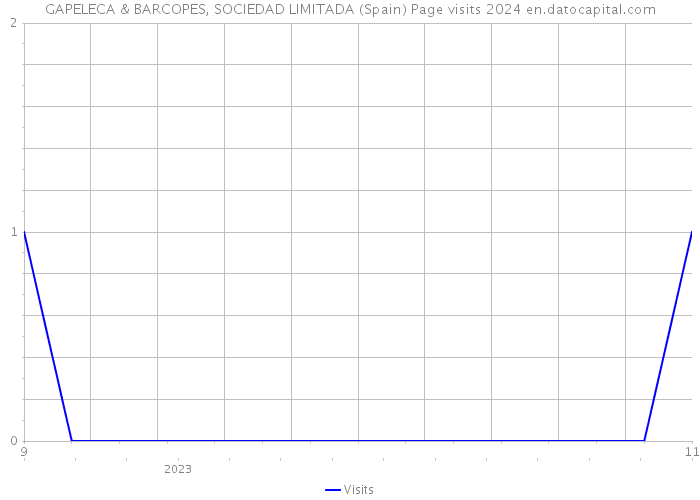 GAPELECA & BARCOPES, SOCIEDAD LIMITADA (Spain) Page visits 2024 