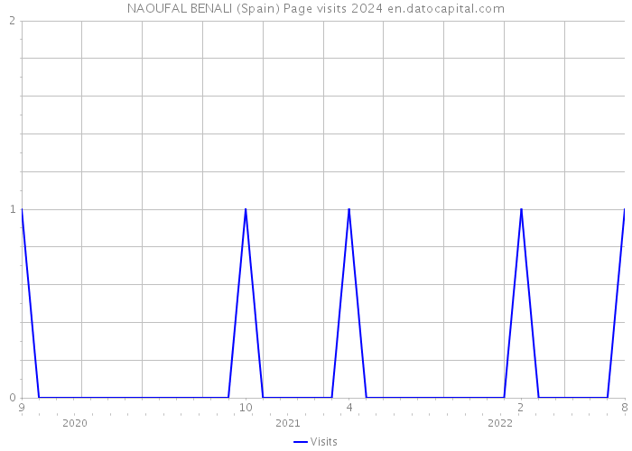 NAOUFAL BENALI (Spain) Page visits 2024 