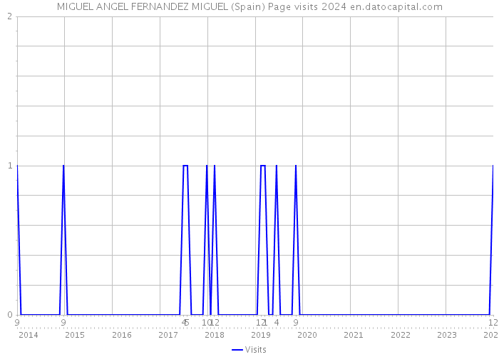 MIGUEL ANGEL FERNANDEZ MIGUEL (Spain) Page visits 2024 
