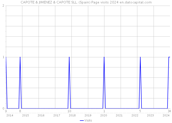 CAPOTE & JIMENEZ & CAPOTE SLL. (Spain) Page visits 2024 