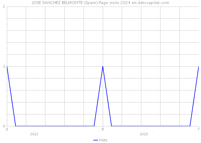 JOSE SANCHEZ BELMONTE (Spain) Page visits 2024 