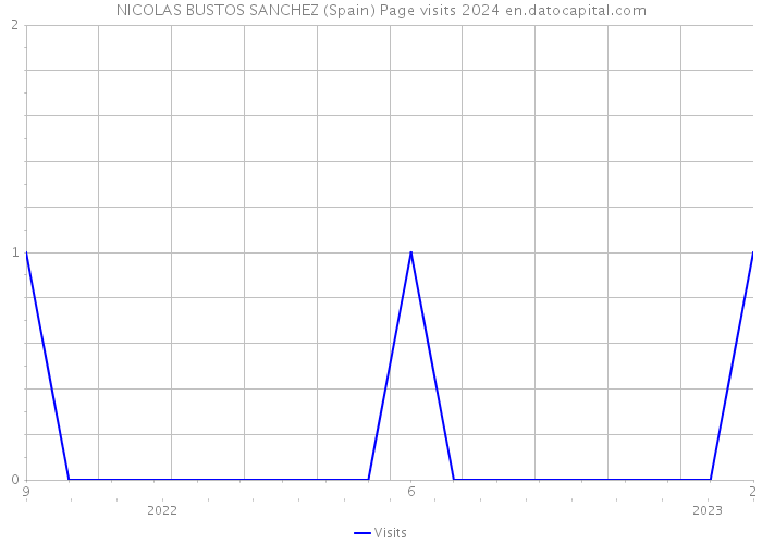 NICOLAS BUSTOS SANCHEZ (Spain) Page visits 2024 