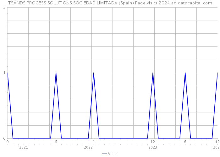TSANDS PROCESS SOLUTIONS SOCIEDAD LIMITADA (Spain) Page visits 2024 