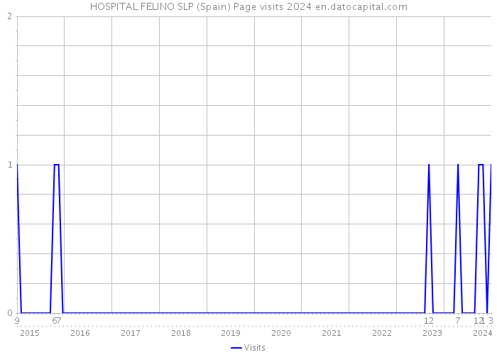 HOSPITAL FELINO SLP (Spain) Page visits 2024 