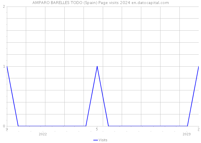 AMPARO BARELLES TODO (Spain) Page visits 2024 