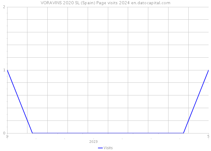 VORAVINS 2020 SL (Spain) Page visits 2024 