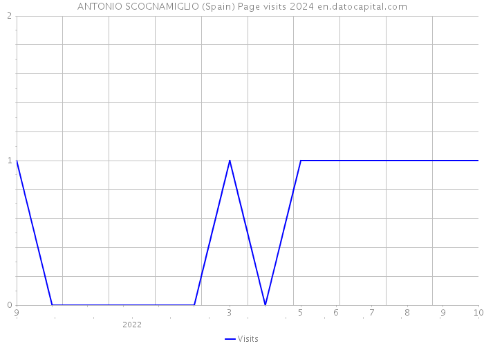 ANTONIO SCOGNAMIGLIO (Spain) Page visits 2024 