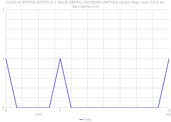 CLINICAS BASTON ESTETICA Y SALUD DENTAL SOCIEDAD LIMITADA (Spain) Page visits 2024 