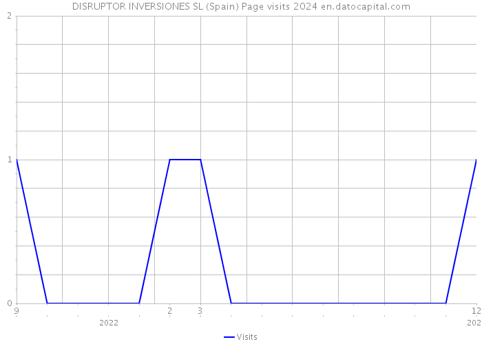 DISRUPTOR INVERSIONES SL (Spain) Page visits 2024 