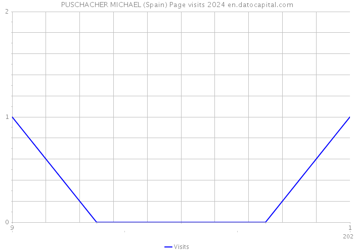 PUSCHACHER MICHAEL (Spain) Page visits 2024 