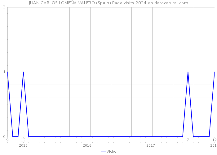 JUAN CARLOS LOMEÑA VALERO (Spain) Page visits 2024 