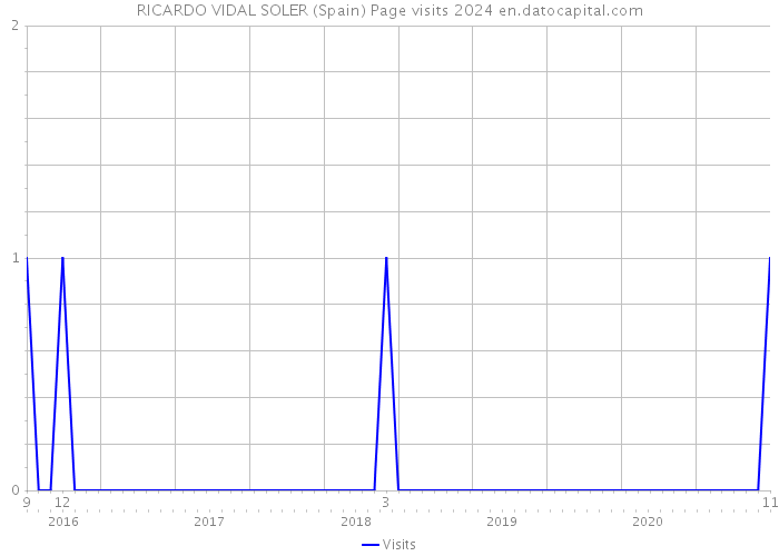 RICARDO VIDAL SOLER (Spain) Page visits 2024 