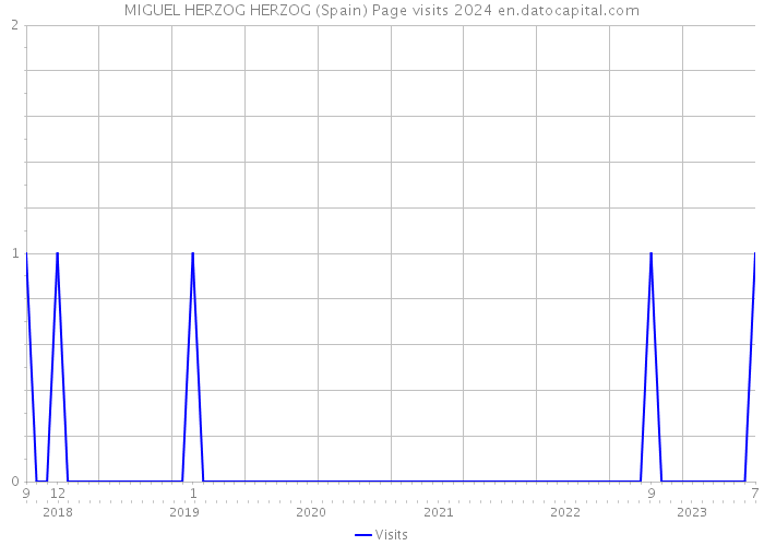 MIGUEL HERZOG HERZOG (Spain) Page visits 2024 