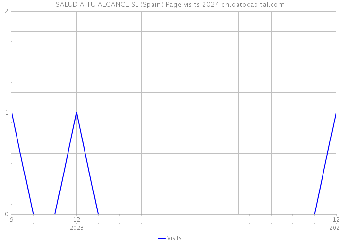 SALUD A TU ALCANCE SL (Spain) Page visits 2024 