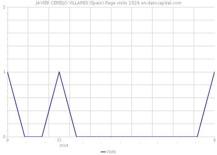 JAVIER CEREIJO VILLARES (Spain) Page visits 2024 