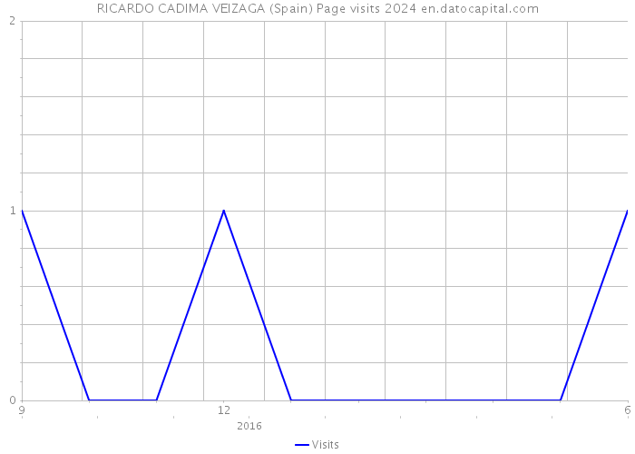 RICARDO CADIMA VEIZAGA (Spain) Page visits 2024 