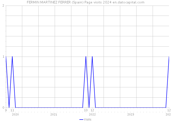 FERMIN MARTINEZ FERRER (Spain) Page visits 2024 