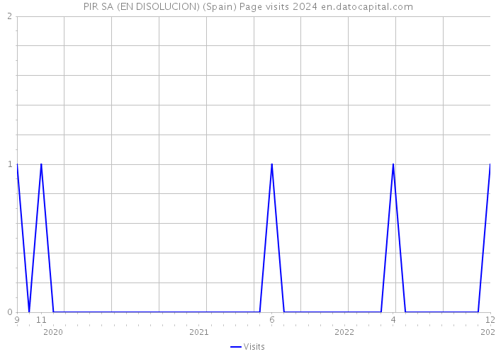 PIR SA (EN DISOLUCION) (Spain) Page visits 2024 