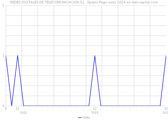 REDES DIGITALES DE TELECOMUNICACION S.L. (Spain) Page visits 2024 
