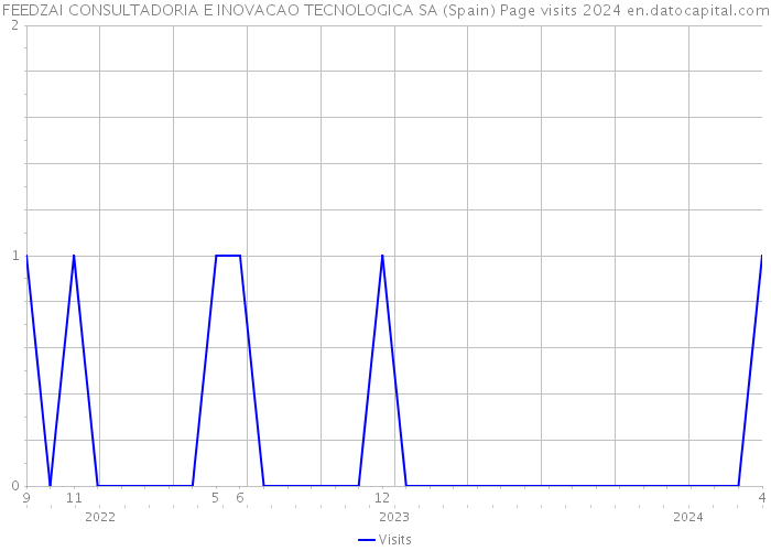 FEEDZAI CONSULTADORIA E INOVACAO TECNOLOGICA SA (Spain) Page visits 2024 