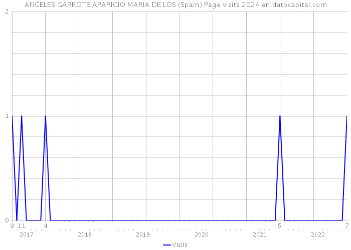 ANGELES GARROTE APARICIO MARIA DE LOS (Spain) Page visits 2024 