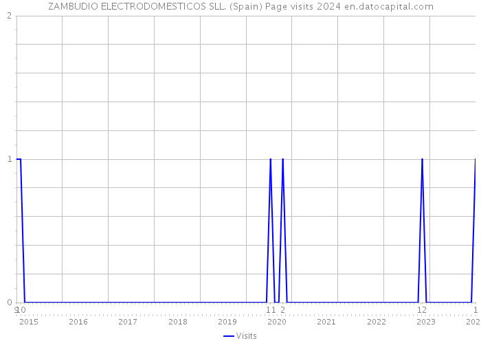 ZAMBUDIO ELECTRODOMESTICOS SLL. (Spain) Page visits 2024 