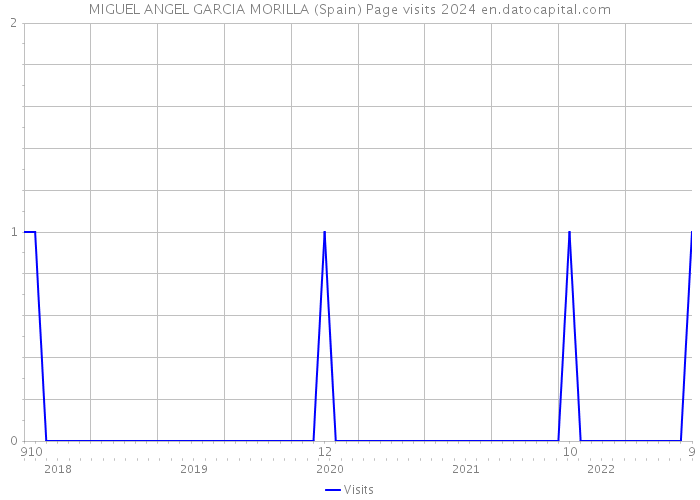 MIGUEL ANGEL GARCIA MORILLA (Spain) Page visits 2024 