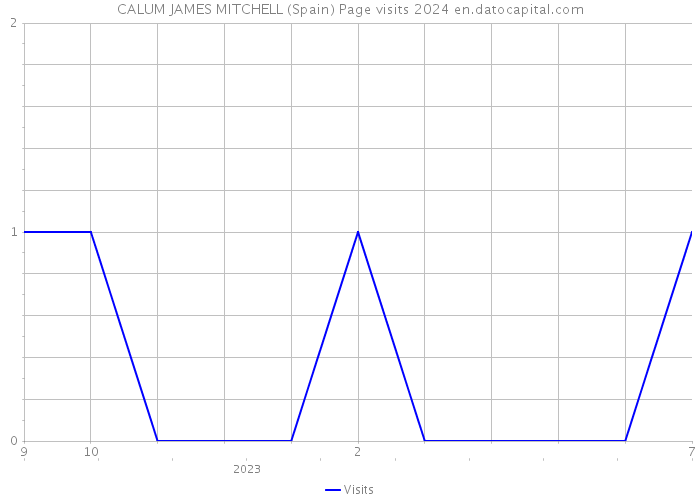CALUM JAMES MITCHELL (Spain) Page visits 2024 