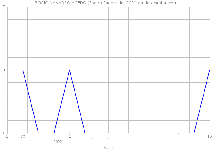 ROCIO NAVARRO ACEDO (Spain) Page visits 2024 