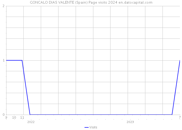 GONCALO DIAS VALENTE (Spain) Page visits 2024 