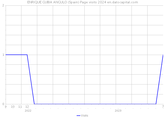 ENRIQUE GUBIA ANGULO (Spain) Page visits 2024 