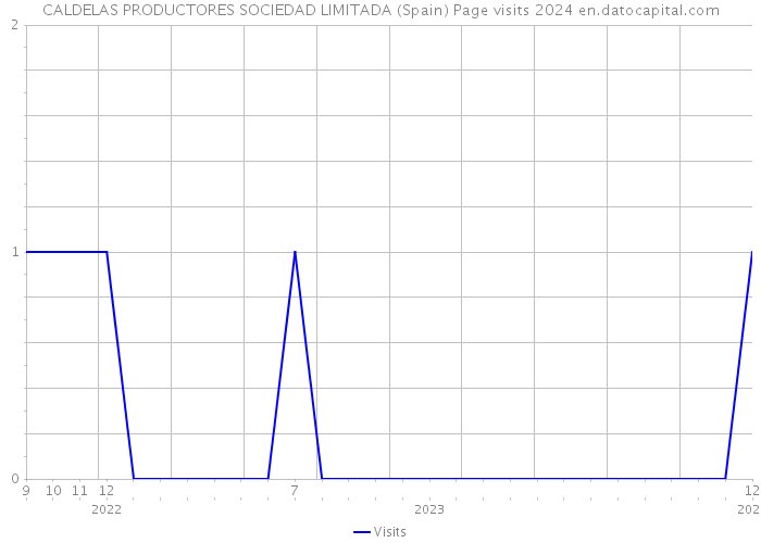 CALDELAS PRODUCTORES SOCIEDAD LIMITADA (Spain) Page visits 2024 