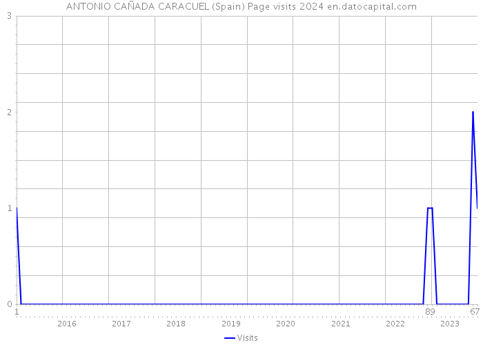 ANTONIO CAÑADA CARACUEL (Spain) Page visits 2024 