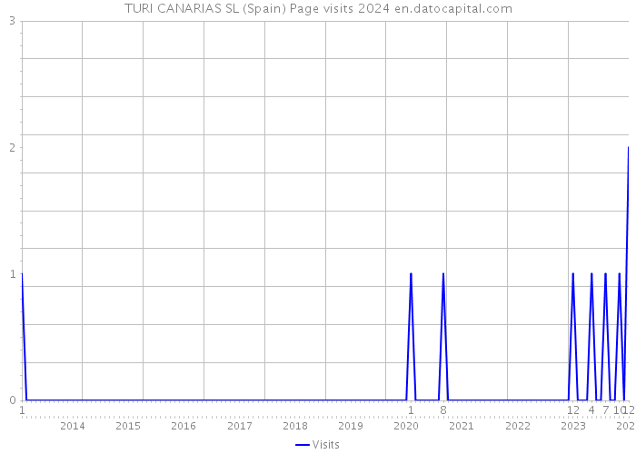 TURI CANARIAS SL (Spain) Page visits 2024 